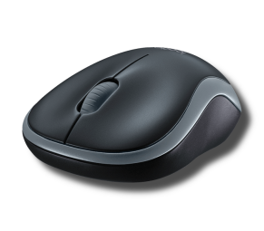 mouse